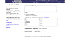 Desktop Screenshot of ppsp.biocuckoo.org